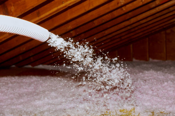 Best Insulation Inspection Services  in Evanston, WY