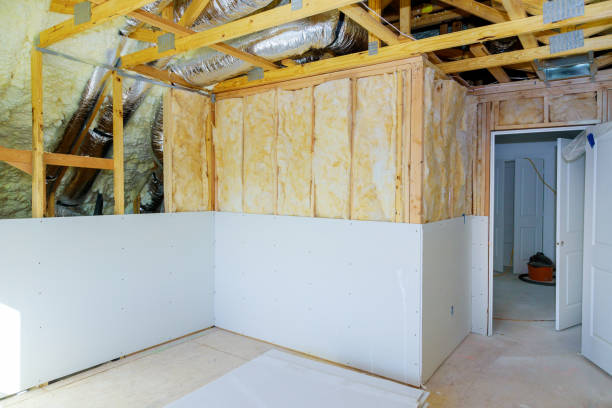 Best Insulation Removal Services  in Evanston, WY