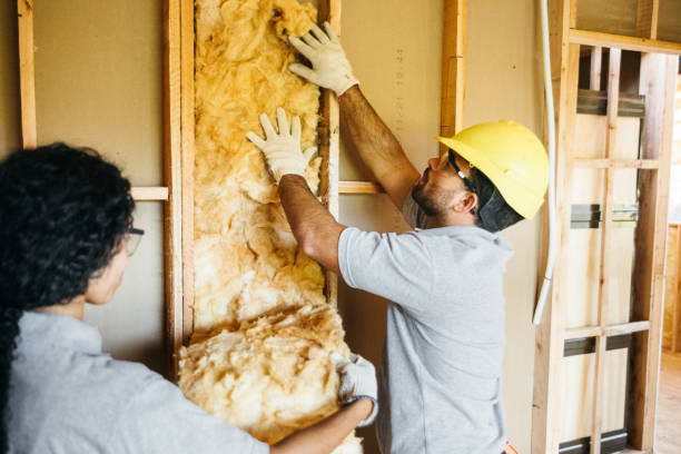 Best Home Insulation Services  in Evanston, WY