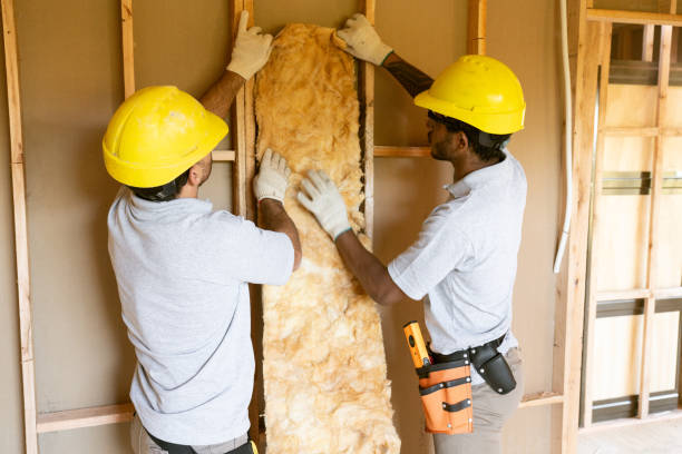 Best Insulation Contractors for Homes  in Evanston, WY