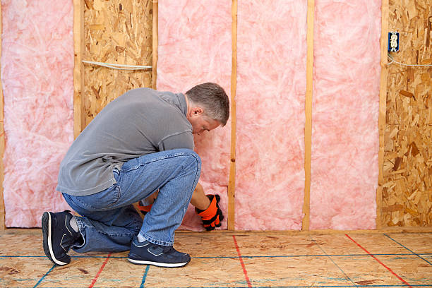 Best Best Insulation Companies  in Evanston, WY