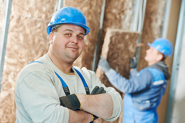 Best Energy-efficient Insulation  in Evanston, WY