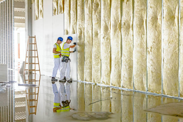 Best Fiberglass Insulation  in Evanston, WY